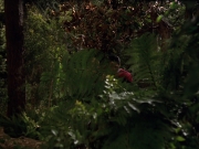 Filename=extant_StarTrek_VOY_7x22-NaturalLaw_0606.jpg
Filesize=197KiB
Dimensions=1200x900
Date added=Jan 16, 2020 extant_StarTrek_VOY_7x22-NaturalLaw_0606.jpg