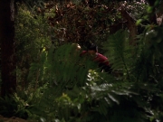 Filename=extant_StarTrek_VOY_7x22-NaturalLaw_0607.jpg
Filesize=197KiB
Dimensions=1200x900
Date added=Jan 16, 2020 extant_StarTrek_VOY_7x22-NaturalLaw_0607.jpg
