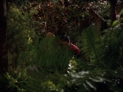 Filename=extant_StarTrek_VOY_7x22-NaturalLaw_0608.jpg
Filesize=201KiB
Dimensions=1200x900
Date added=Jan 16, 2020 extant_StarTrek_VOY_7x22-NaturalLaw_0608.jpg