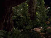 Filename=extant_StarTrek_VOY_7x22-NaturalLaw_0698.jpg
Filesize=174KiB
Dimensions=1200x900
Date added=Jan 16, 2020 extant_StarTrek_VOY_7x22-NaturalLaw_0698.jpg