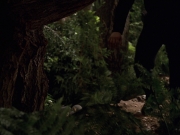 Filename=extant_StarTrek_VOY_7x22-NaturalLaw_0700.jpg
Filesize=159KiB
Dimensions=1200x900
Date added=Jan 16, 2020 extant_StarTrek_VOY_7x22-NaturalLaw_0700.jpg