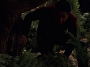 Filename=extant_StarTrek_VOY_7x22-NaturalLaw_0704.jpg
Filesize=133KiB
Dimensions=1200x900
Date added=Jan 16, 2020 extant_StarTrek_VOY_7x22-NaturalLaw_0704.jpg