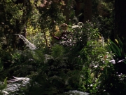 extant_StarTrek_VOY_7x22-NaturalLaw_0712.jpg