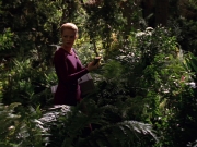 extant_StarTrek_VOY_7x22-NaturalLaw_0723.jpg