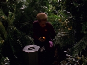 extant_StarTrek_VOY_7x22-NaturalLaw_0738.jpg