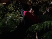 Filename=extant_StarTrek_VOY_7x22-NaturalLaw_0763.jpg
Filesize=159KiB
Dimensions=1200x900
Date added=Jan 16, 2020 extant_StarTrek_VOY_7x22-NaturalLaw_0763.jpg