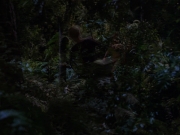 Filename=extant_StarTrek_VOY_7x22-NaturalLaw_0797.jpg
Filesize=158KiB
Dimensions=1200x900
Date added=Jan 16, 2020 extant_StarTrek_VOY_7x22-NaturalLaw_0797.jpg