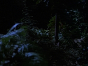 Filename=extant_StarTrek_VOY_7x22-NaturalLaw_0799.jpg
Filesize=133KiB
Dimensions=1200x900
Date added=Jan 16, 2020 extant_StarTrek_VOY_7x22-NaturalLaw_0799.jpg