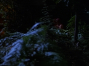 Filename=extant_StarTrek_VOY_7x22-NaturalLaw_0800.jpg
Filesize=142KiB
Dimensions=1200x900
Date added=Jan 16, 2020 extant_StarTrek_VOY_7x22-NaturalLaw_0800.jpg