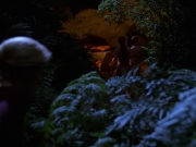 Filename=extant_StarTrek_VOY_7x22-NaturalLaw_0804.jpg
Filesize=163KiB
Dimensions=1200x900
Date added=Jan 16, 2020 extant_StarTrek_VOY_7x22-NaturalLaw_0804.jpg