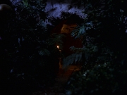 Filename=extant_StarTrek_VOY_7x22-NaturalLaw_0822.jpg
Filesize=137KiB
Dimensions=1200x900
Date added=Jan 16, 2020 extant_StarTrek_VOY_7x22-NaturalLaw_0822.jpg
