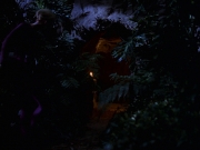 extant_StarTrek_VOY_7x22-NaturalLaw_0823.jpg
