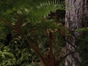 Filename=extant_StarTrek_VOY_7x22-NaturalLaw_1376.jpg
Filesize=201KiB
Dimensions=1200x900
Date added=Jan 16, 2020 extant_StarTrek_VOY_7x22-NaturalLaw_1376.jpg