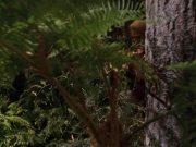 Filename=extant_StarTrek_VOY_7x22-NaturalLaw_1377.jpg
Filesize=192KiB
Dimensions=1200x900
Date added=Jan 16, 2020 extant_StarTrek_VOY_7x22-NaturalLaw_1377.jpg