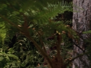 Filename=extant_StarTrek_VOY_7x22-NaturalLaw_1378.jpg
Filesize=184KiB
Dimensions=1200x900
Date added=Jan 16, 2020 extant_StarTrek_VOY_7x22-NaturalLaw_1378.jpg