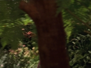 extant_StarTrek_VOY_7x22-NaturalLaw_1380.jpg