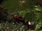 extant_StarTrek_VOY_7x22-NaturalLaw_1381.jpg
