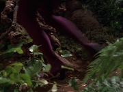 Filename=extant_StarTrek_VOY_7x22-NaturalLaw_1388.jpg
Filesize=196KiB
Dimensions=1200x900
Date added=Jan 16, 2020 extant_StarTrek_VOY_7x22-NaturalLaw_1388.jpg