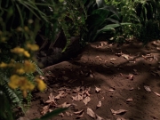 Filename=extant_StarTrek_VOY_7x22-NaturalLaw_1391.jpg
Filesize=214KiB
Dimensions=1200x900
Date added=Jan 16, 2020 extant_StarTrek_VOY_7x22-NaturalLaw_1391.jpg