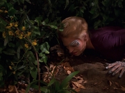 Filename=extant_StarTrek_VOY_7x22-NaturalLaw_1405.jpg
Filesize=185KiB
Dimensions=1200x900
Date added=Jan 16, 2020 extant_StarTrek_VOY_7x22-NaturalLaw_1405.jpg