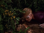 extant_StarTrek_VOY_7x22-NaturalLaw_1408.jpg