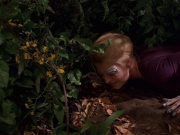 extant_StarTrek_VOY_7x22-NaturalLaw_1410.jpg