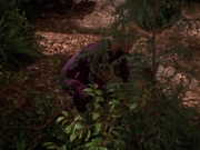 extant_StarTrek_VOY_7x22-NaturalLaw_1416.jpg