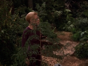 extant_StarTrek_VOY_7x22-NaturalLaw_1423.jpg