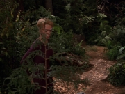 extant_StarTrek_VOY_7x22-NaturalLaw_1424.jpg