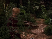 extant_StarTrek_VOY_7x22-NaturalLaw_1425.jpg