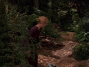 extant_StarTrek_VOY_7x22-NaturalLaw_1426.jpg