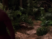 extant_StarTrek_VOY_7x22-NaturalLaw_1432.jpg
