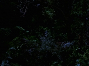 Filename=extant_StarTrek_VOY_7x22-NaturalLaw_1486.jpg
Filesize=148KiB
Dimensions=1200x900
Date added=Jan 16, 2020 extant_StarTrek_VOY_7x22-NaturalLaw_1486.jpg