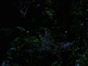 Filename=extant_StarTrek_VOY_7x22-NaturalLaw_1487.jpg
Filesize=144KiB
Dimensions=1200x900
Date added=Jan 16, 2020 extant_StarTrek_VOY_7x22-NaturalLaw_1487.jpg