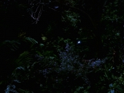 Filename=extant_StarTrek_VOY_7x22-NaturalLaw_1488.jpg
Filesize=142KiB
Dimensions=1200x900
Date added=Jan 16, 2020 extant_StarTrek_VOY_7x22-NaturalLaw_1488.jpg