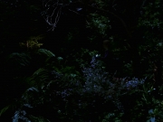 Filename=extant_StarTrek_VOY_7x22-NaturalLaw_1489.jpg
Filesize=135KiB
Dimensions=1200x900
Date added=Jan 16, 2020 extant_StarTrek_VOY_7x22-NaturalLaw_1489.jpg