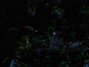 extant_StarTrek_VOY_7x22-NaturalLaw_1490.jpg