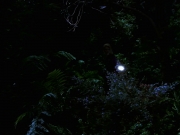 Filename=extant_StarTrek_VOY_7x22-NaturalLaw_1491.jpg
Filesize=127KiB
Dimensions=1200x900
Date added=Jan 16, 2020 extant_StarTrek_VOY_7x22-NaturalLaw_1491.jpg
