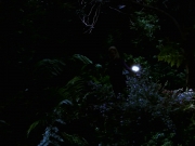 Filename=extant_StarTrek_VOY_7x22-NaturalLaw_1492.jpg
Filesize=121KiB
Dimensions=1200x900
Date added=Jan 16, 2020 extant_StarTrek_VOY_7x22-NaturalLaw_1492.jpg