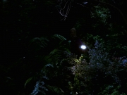 Filename=extant_StarTrek_VOY_7x22-NaturalLaw_1493.jpg
Filesize=131KiB
Dimensions=1200x900
Date added=Jan 16, 2020 extant_StarTrek_VOY_7x22-NaturalLaw_1493.jpg