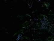 Filename=extant_StarTrek_VOY_7x22-NaturalLaw_1494.jpg
Filesize=110KiB
Dimensions=1200x900
Date added=Jan 16, 2020 extant_StarTrek_VOY_7x22-NaturalLaw_1494.jpg