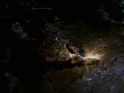 Filename=extant_StarTrek_VOY_7x22-NaturalLaw_1512.jpg
Filesize=131KiB
Dimensions=1200x900
Date added=Jan 16, 2020 extant_StarTrek_VOY_7x22-NaturalLaw_1512.jpg