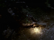 Filename=extant_StarTrek_VOY_7x22-NaturalLaw_1513.jpg
Filesize=138KiB
Dimensions=1200x900
Date added=Jan 16, 2020 extant_StarTrek_VOY_7x22-NaturalLaw_1513.jpg
