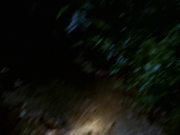 Filename=extant_StarTrek_VOY_7x22-NaturalLaw_1514.jpg
Filesize=113KiB
Dimensions=1200x900
Date added=Jan 16, 2020 extant_StarTrek_VOY_7x22-NaturalLaw_1514.jpg