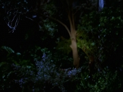 Filename=extant_StarTrek_VOY_7x22-NaturalLaw_1515.jpg
Filesize=143KiB
Dimensions=1200x900
Date added=Jan 16, 2020 extant_StarTrek_VOY_7x22-NaturalLaw_1515.jpg