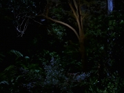 Filename=extant_StarTrek_VOY_7x22-NaturalLaw_1516.jpg
Filesize=154KiB
Dimensions=1200x900
Date added=Jan 16, 2020 extant_StarTrek_VOY_7x22-NaturalLaw_1516.jpg