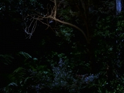Filename=extant_StarTrek_VOY_7x22-NaturalLaw_1517.jpg
Filesize=154KiB
Dimensions=1200x900
Date added=Jan 16, 2020 extant_StarTrek_VOY_7x22-NaturalLaw_1517.jpg