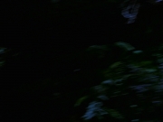 Filename=extant_StarTrek_VOY_7x22-NaturalLaw_1518.jpg
Filesize=69KiB
Dimensions=1200x900
Date added=Jan 16, 2020 extant_StarTrek_VOY_7x22-NaturalLaw_1518.jpg