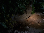 Filename=extant_StarTrek_VOY_7x22-NaturalLaw_1522.jpg
Filesize=161KiB
Dimensions=1200x900
Date added=Jan 16, 2020 extant_StarTrek_VOY_7x22-NaturalLaw_1522.jpg
