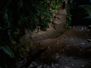 Filename=extant_StarTrek_VOY_7x22-NaturalLaw_1523.jpg
Filesize=164KiB
Dimensions=1200x900
Date added=Jan 16, 2020 extant_StarTrek_VOY_7x22-NaturalLaw_1523.jpg